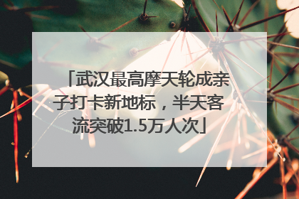 武汉最高摩天轮成亲子打卡新地标，半天客流突破1.5万人次